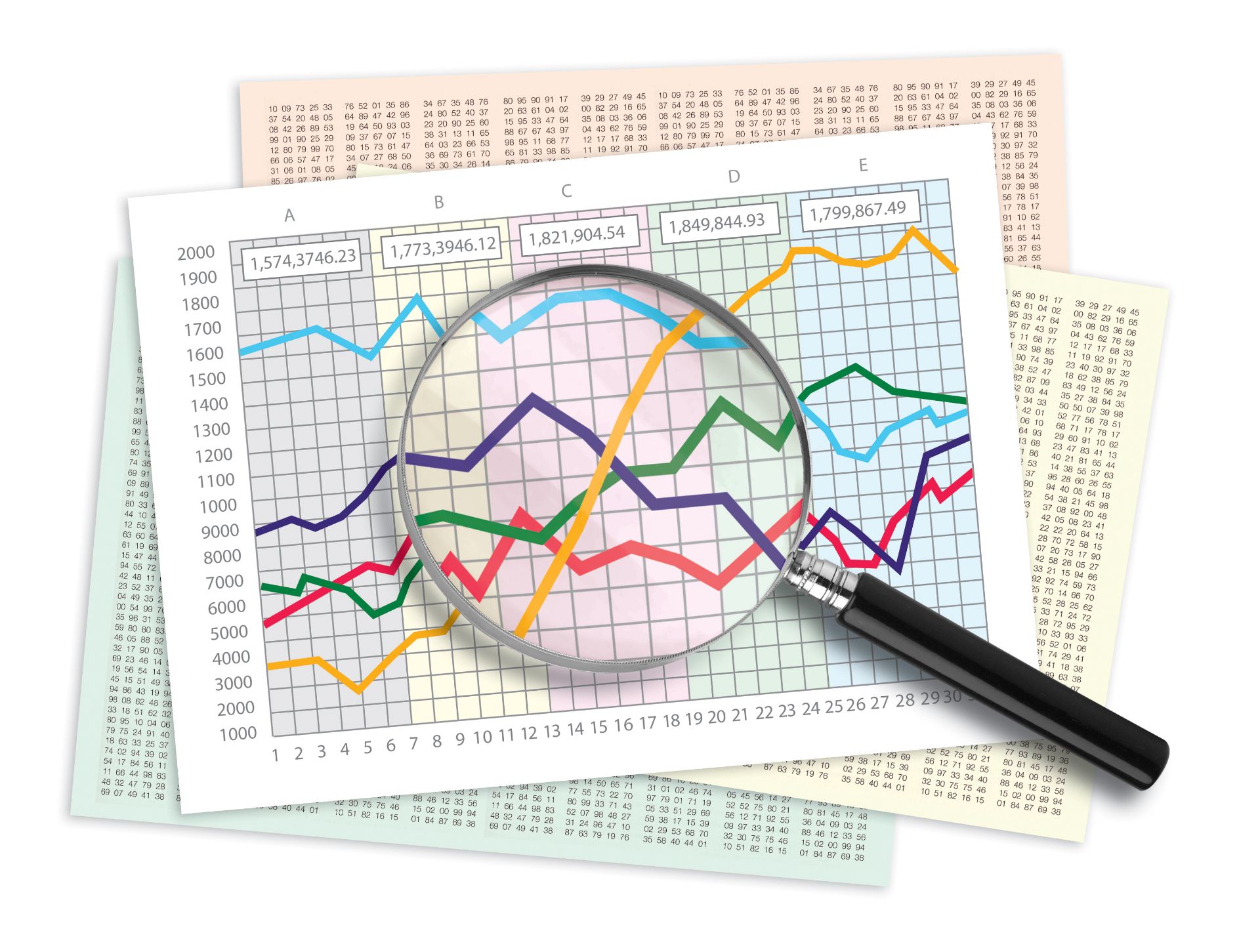 Primary Residence Report