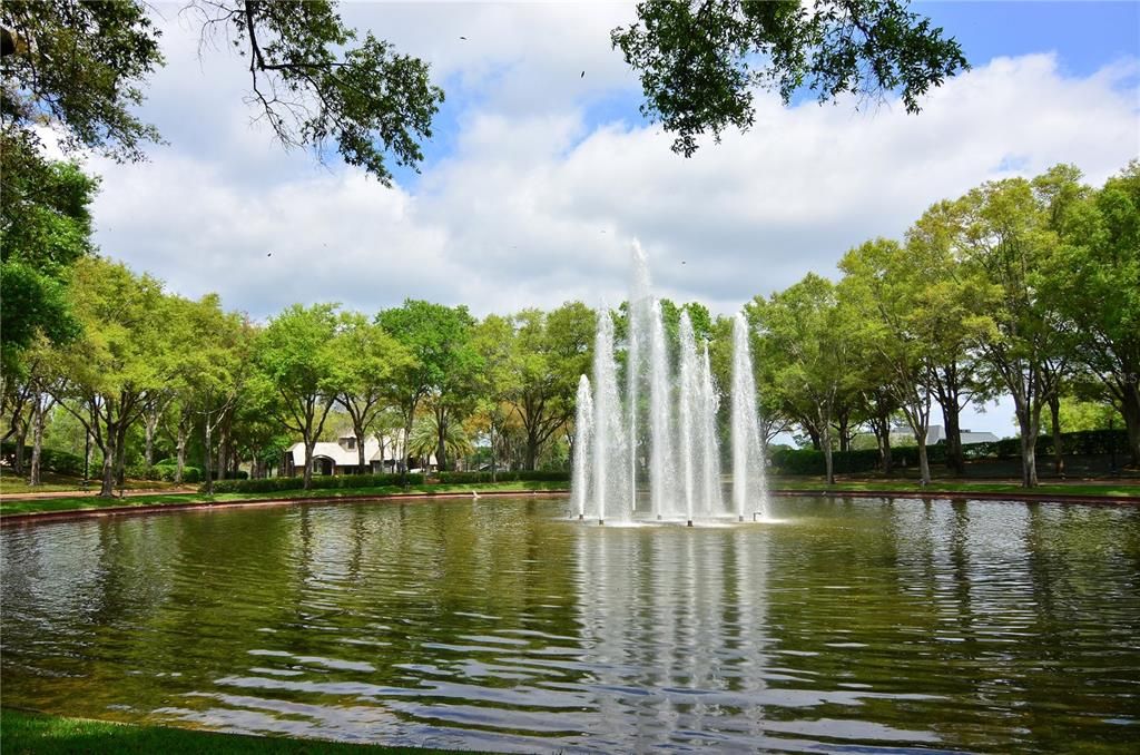 Lake Mary STR Gem: High-Yield Investment Opportunity photo 37